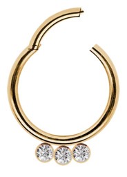 Zeige Details für Piercing Smooth Segment Ring Clicker 1,2 mm, Stahl Rosegold mit 3 Steinplatten Bild von Piercing Smooth Segment Ring Clicker 1,2 mm, Stahl Rosegold mit 3 Steinplatten