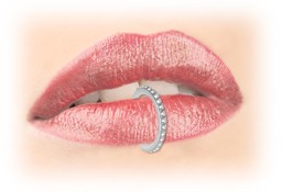 Zeige Details für Piercing Smooth Segment Ring Clicker 316l Stahl 1,2 mm mit Steinen vertikal Bild von Piercing Smooth Segment Ring Clicker 316l Stahl 1,2 mm mit Steinen vertikal