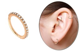 Zeige Details für Piercing Smooth Segment Ring Clicker Stahl Rosegold, 1,2 mm mit Steinen vertikal Bild von Piercing Smooth Segment Ring Clicker Stahl Rosegold, 1,2 mm mit Steinen vertikal