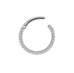 Bild von Piercing Smooth Segment Ring Clicker 316l Stahl mit Steinkranz in 1,2 mm