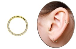 Bild von Piercing Smooth Segmentring Clicker Stahl Gold mit Steinkranz in 1,2 mm