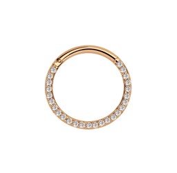 Zeige Details für Piercing Smooth Segmentring Clicker Stahl Rosegold mit Steinkranz in 1,2 mm Bild von Piercing Smooth Segmentring Clicker Stahl Rosegold mit Steinkranz in 1,2 mm