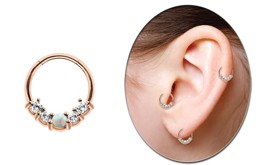 Zeige Details für Piercing Smooth Segment Clicker mit Steinen und Opal, Rosegold 1,2 mm Bild von Piercing Smooth Segment Clicker mit Steinen und Opal, Rosegold 1,2 mm