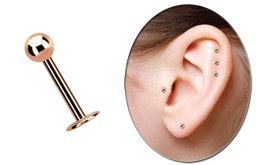 Zeige Details für Piercing Labret, Rose Gold, 4 mm Platte in 1,2 x 6-10 mm mit Kugel Bild von Piercing Labret, Rose Gold, 4 mm Platte in 1,2 x 6-10 mm mit Kugel