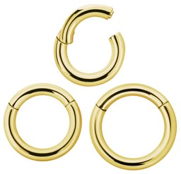 Zeige Details für Piercing Schmuck Smooth Segment Ring Clicker Gold in 3,0 mm Bild von Piercing Schmuck Smooth Segment Ring Clicker Gold in 3,0 mm