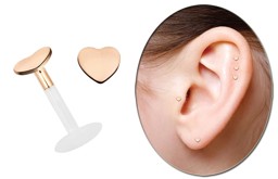 Zeige Details für Teflon Labret Stecksystem 1,6 mm mit 2,5 mm Herz 14kt. Rosegold Bild von Teflon Labret Stecksystem 1,6 mm mit 2,5 mm Herz 14kt. Rosegold