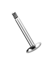 Zeige Details für Lippenpiercing aus Titan mit 5 mm Platte in 1,6 x 5-20 mm Bild von Lippenpiercing aus Titan mit 5 mm Platte in 1,6 x 5-20 mm