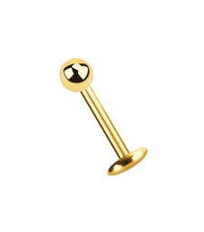 Bild von Piercing Labret vergoldet 4 mm Platte in 1,2 x 6-10 mm + Kugel