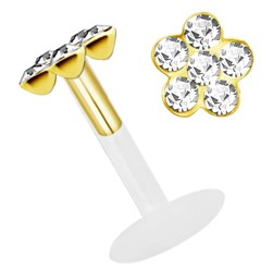 Zeige Details für Teflon Labret Stecksystem 1,2 mm mit 5 mm Stein-Blume vergoldet Bild von Teflon Labret Stecksystem 1,2 mm mit 5 mm Stein-Blume vergoldet
