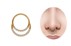 Bild von Piercing Segment Clicker Doppel Ring mit Steinen Rosegold in 1,2 mm