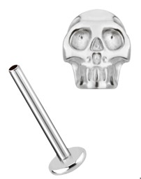 Zeige Details für Ohr Piercing Labret Stud in 1,2 mm mit Innengewinde und Totenkopf Bild von Ohr Piercing Labret Stud in 1,2 mm mit Innengewinde und Totenkopf