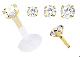Zeige Details für Teflon Labret Stecksystem in 1,2 mm und Gold Aufsatz mit Stein Bild von Teflon Labret Stecksystem in 1,2 mm und Gold Aufsatz mit Stein
