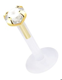 Zeige Details für Teflon Labret Stecksystem in 1,6 mm und Gold Aufsatz mit Stein Bild von Teflon Labret Stecksystem in 1,6 mm und Gold Aufsatz mit Stein