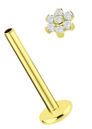 Zeige Details für Labret Stecker, 1,2 mm mit Innengewinde und Stein-Blume in Gold Bild von Labret Stecker, 1,2 mm mit Innengewinde und Stein-Blume in Gold