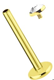Zeige Details für Ohr Piercing Labret Stud 1,2 mm mit Steinplatte, in Gold Bild von Ohr Piercing Labret Stud 1,2 mm mit Steinplatte, in Gold
