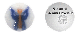 Zeige Details für Piercingschmuck Acryl Verschluss Kugel, Schmetterling in 1,6 x 5 mm Bild von Piercingschmuck Acryl Verschluss Kugel, Schmetterling in 1,6 x 5 mm