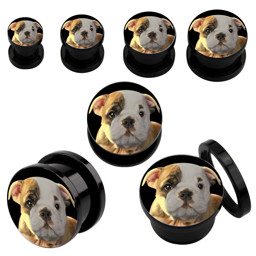 Bild von Ohr Piercing Schmuck Acryl Plug schwarz mit Bulldogge in 6-16 mm