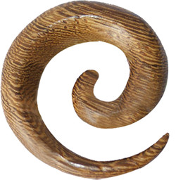 Zeige Details für Ohr Piercingschmuck Dehn Spirale aus Palm-Holz in 4-12 mm Bild von Ohr Piercingschmuck Dehn Spirale aus Palm-Holz in 4-12 mm
