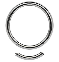Zeige Details für Titan Piercing Schmuck Smooth Segmentring 1,6 x 14, 16 mm Bild von Titan Piercing Schmuck Smooth Segmentring 1,6 x 14, 16 mm