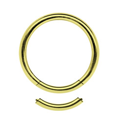 Zeige Details für Piercing Segmentring Stahl PVD 24 kt. Hartvergoldung in 1,2 mm Bild von Piercing Segmentring Stahl PVD 24 kt. Hartvergoldung in 1,2 mm