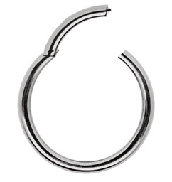 Zeige Details für Piercing Schmuck Ring Smooth Segment Clicker Titan in 1,2 mm Bild von Piercing Schmuck Ring Smooth Segment Clicker Titan in 1,2 mm