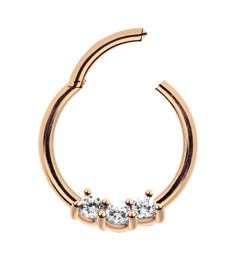 Zeige Details für Piercing Ring Smooth Segment Clicker mit Stein, Rose Gold 1,2 mm Bild von Piercing Ring Smooth Segment Clicker mit Stein, Rose Gold 1,2 mm