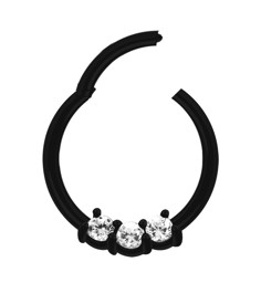 Zeige Details für Piercing Ring Segment Clicker mit Stein, Stahl schwarz 1,2 mm Bild von Piercing Ring Segment Clicker mit Stein, Stahl schwarz 1,2 mm