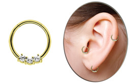Zeige Details für Piercing Ring Smooth Segment Clicker mit Stein, Stahl, Gold 1,2 mm Bild von Piercing Ring Smooth Segment Clicker mit Stein, Stahl, Gold 1,2 mm
