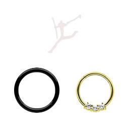 Zeige Produkte für Kategorie Segmentringe gold, schwarz Bild für Kategorie Segmentringe gold, schwarz