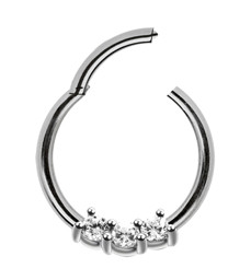 Zeige Details für Piercing 316l Stahl Ring Smooth Segment Clicker mit Stein in 1,2 mm Bild von Piercing 316l Stahl Ring Smooth Segment Clicker mit Stein in 1,2 mm