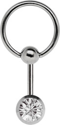 Zeige Details für Intimschmuck Titan Intimring mit Stab-Klemmkugel und 8 mm Stein Bild von Intimschmuck Titan Intimring mit Stab-Klemmkugel und 8 mm Stein
