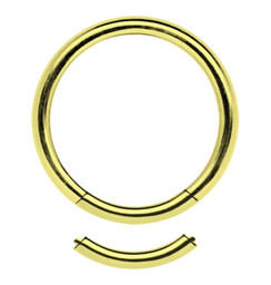Zeige Details für Piercing Segmentring Stahl PVD 24 kt. Hartvergoldung in 1,6 mm Bild von Piercing Segmentring Stahl PVD 24 kt. Hartvergoldung in 1,6 mm