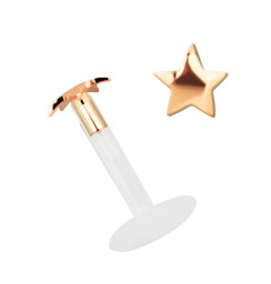 Zeige Details für Teflon Labret Stecksystem 1,2 mm mit 2,5 mm Stern 14kt. Rosegold Bild von Teflon Labret Stecksystem 1,2 mm mit 2,5 mm Stern 14kt. Rosegold