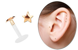 Bild von Teflon Labret Stecksystem 1,6 mm mit 2,5 mm Stern 14kt. Rosegold