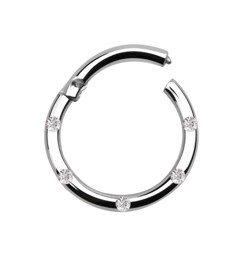 Zeige Details für Piercing Smooth Segment Ring Clicker aus 316l Stahl mit Steinen in 1,2 mm Bild von Piercing Smooth Segment Ring Clicker aus 316l Stahl mit Steinen in 1,2 mm