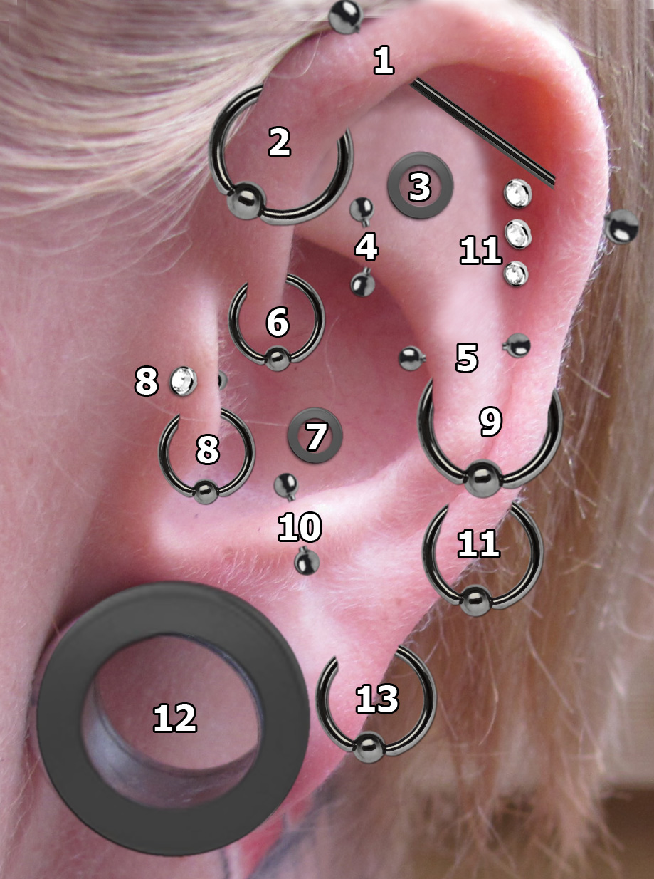 Piercing Arten Ohrpiercing Helix Tragus Migrane