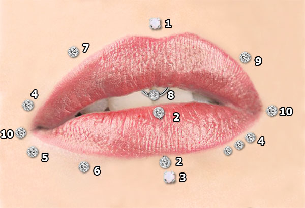 Labret Lippen-Piercing Arten, Mundpiercing, Madonnapiercing Labret Lippen Piercing Arten, Mundpiercing