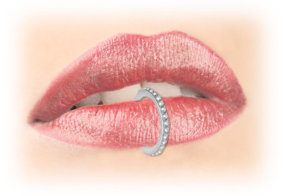 Bild von Piercing Smooth Segment Ring Clicker 316l Stahl 1,2 mm mit Steinen vertikal