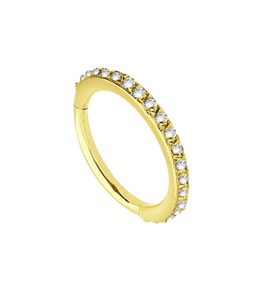 Bild von Piercing Smooth Segment Ring Clicker Stahl Gold, 1,2 mm mit Steinen vertikal