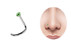 Bild von Titan Nasen Piercing Set, 5 Nasenstecker mit Spirale in 0,8 mm