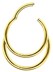 Bild von Piercing Schmuck Segment Clicker Doppel Ring Gold in 1,2 mm