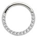 Bild von Piercing Smooth Segment Ring Clicker 316l Stahl mit Diamantschliff