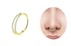 Bild von Piercing Segment Clicker Gold 2er-Ring mit Steinkranz in 1,2 mm