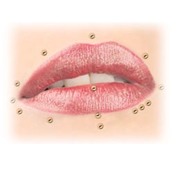Bild für Kategorie Lippenpiercing