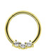 Bild von Piercing Ring Smooth Segment Clicker mit Stein, Stahl, Gold 1,2 mm