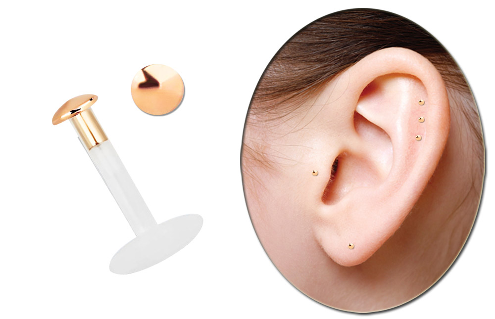 Bild von Teflon Labret Stecksystem 1,6 mm mit 2 mm Platte 14kt. Rosegold